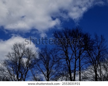 Similar – Image, Stock Photo and above me the sky…
