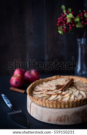 Similar – Image, Stock Photo Traditional french apple tart over brown planks