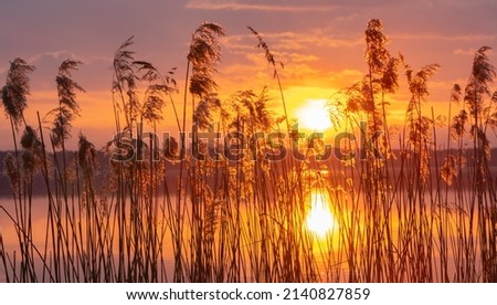 Similar – Image, Stock Photo calm water in Latvian winter / river near my house / the day when ice forming on water / sunrise over land