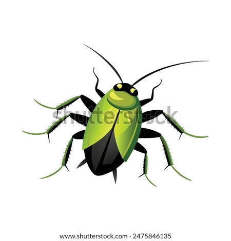 green shield bug isolated on white background