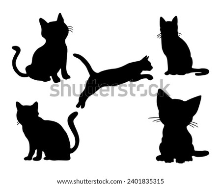 Similar – Image, Stock Photo black cat jumps in the air