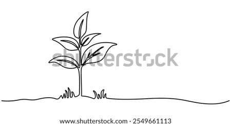 Similar – Image, Stock Photo single tree in a beam of light between many trees in the forest