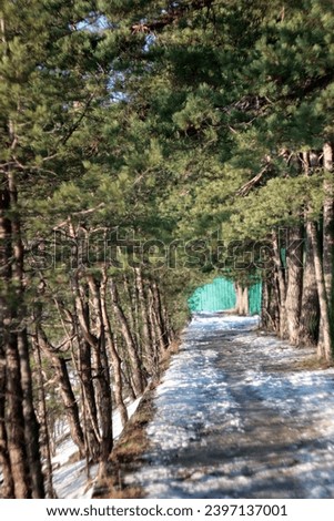 Similar – Image, Stock Photo Footpath in winter, always straight ahead, on the left of it a wooden fence, behind it bushes, on the right side of the path a brook bank. Falling snowflakes, in the distance trees can be seen in the mist.