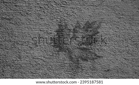 Similar – Image, Stock Photo Age leaves its mark age