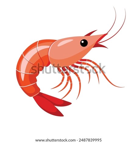  a illustration of a shrimp with white background.