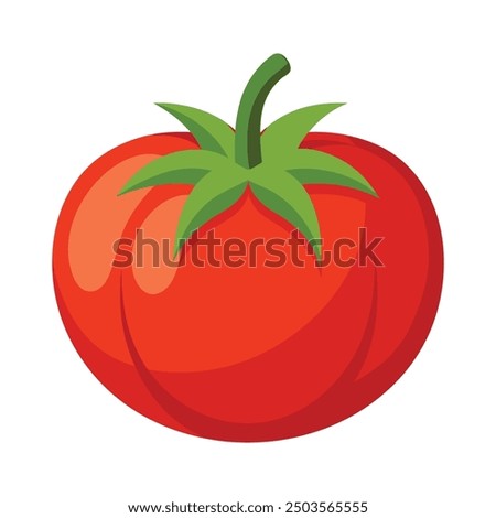 Vector illustration of a red tomato isolated on white , Tomato vector. Tomato on white background. Tomato vector in cartoon style