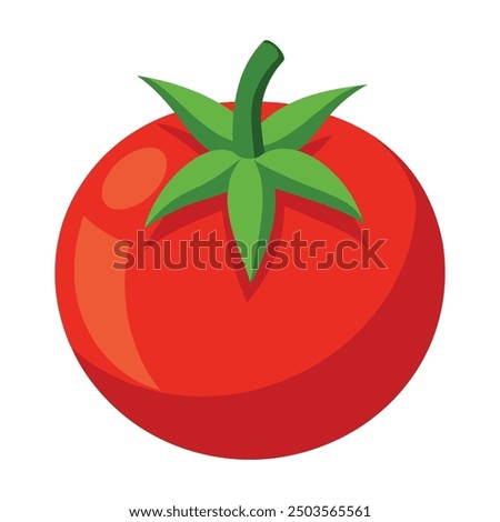 Vector illustration of a red tomato isolated on white , Tomato vector. Tomato on white background. Tomato vector in cartoon style