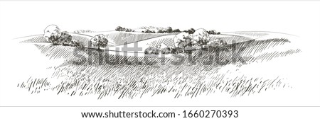 Green grass field on small hills. Meadow, alkali, lye, grassland, pommel, lea, pasturage,  farm. Rural scenery landscape panorama of countryside pastures. Vector sketch illustration