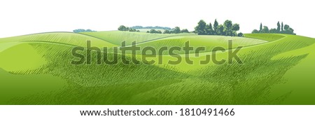 Green grass field hills. Meadow, alkali, lye, grassland, pommel, lea, pasturage, farm. Rural scenery landscape panorama of countryside pastures. Vector watercolor realistic illustration Photo stock © 