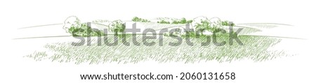 Green grass field on small hills. Meadow, alkali, lye, grassland, pommel, lea, pasturage,  farm. Rural scenery landscape panorama of countryside pastures. Vector sketch illustration