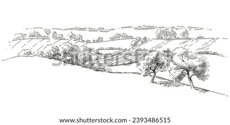 Field on small hills. Meadow green grass, grassland, pasturage, farm, trees. Rural scenery landscape panorama of countryside pastures. Hand drawn sketch vector illustration