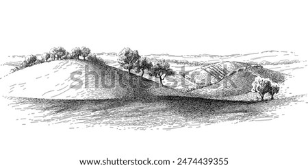 Grass on the fields hill landscape. Set of fruit trees: olive, apple, plum, apricot. Orchard, grove. Vector realistic black and white vintage sketch illustration