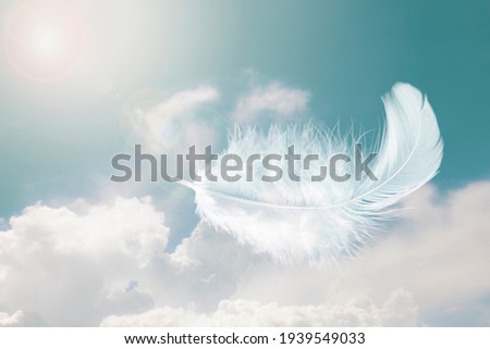 Beautiful Soft and Light Fluffy White Feathers Floating inThe Sky with Clouds. Abstract. Heavenly Dreamy Fluffy Colorful Sky.