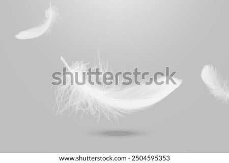 Similar – Image, Stock Photo out of the feathers became a decorative chicken | hen nestles up to cock