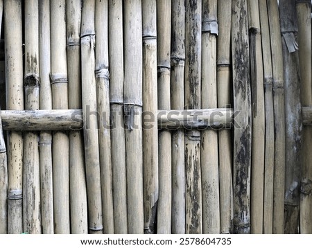 Similar – Image, Stock Photo Old segments Wood Pattern