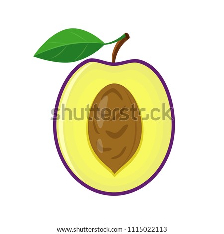 Colorful half plum with pip and  green leaf. Vector illustration isolated on white background.