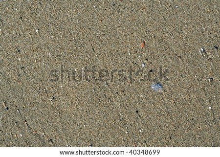 texture sand