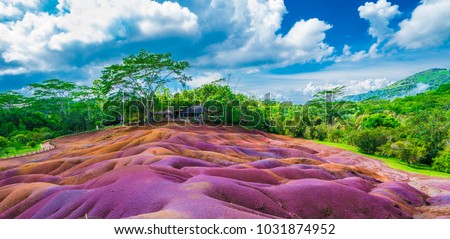 Similar – Image, Stock Photo Green Island Desert dunes