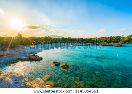 Shutterstock Puzzlepix