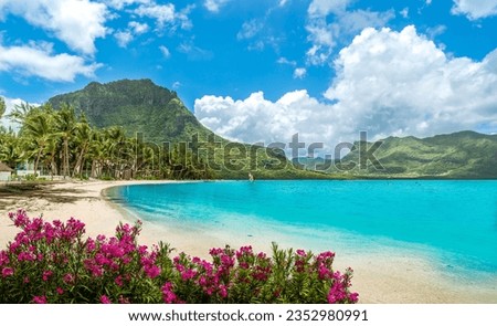 Similar – Image, Stock Photo Tropical beach with palms and boat floating