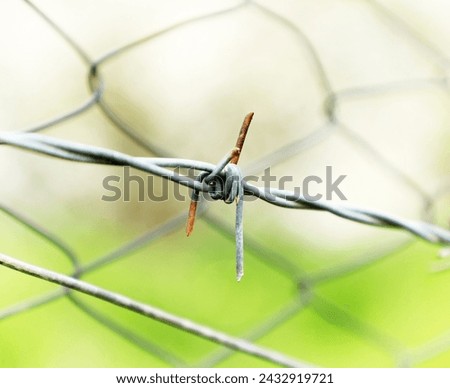 Similar – Tense barbed wire metal