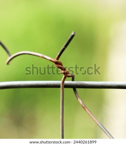 Similar – Tense barbed wire metal