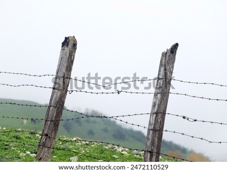 Similar – Tense barbed wire metal