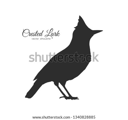 Vector illustration: Silhouette of Crested Lark.