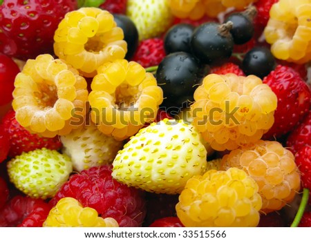 Delicious Fresh Berry Mix