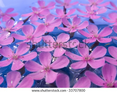 Floating flowers