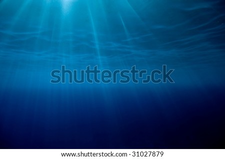 Sun beams through water surface