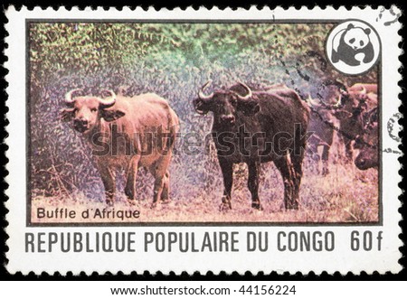 KONGO - CIRCA 1978: A stamp printed in Kongo shows animal Buffalo, circa 1978