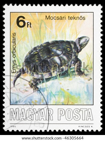 HUNGARY- CIRCA 1986: A stamp printed in Hungary shows animal Emys orbicularis,  circa 1986