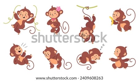 Cartoon monkey. Exotic monkeys different poses and emotions. Tropical wild animals, funny isolated primates. Rainforest animal nowaday vector set