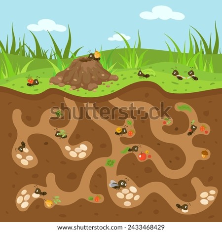 Cartoon anthill illustration. Cute tiny ants working and moving. Forest or garden wildlife, underground passages and hill. Nowaday vector nature scene