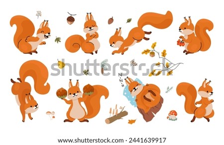 Funny squirrel. Cartoon forest red squirrels with nuts. Emotional animal run, jump, sleep and laughing. Cute children mascots nowaday vector clipart