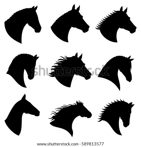 Horse head vector silhouettes. Black silhouette head horse, illustration of head wild stallion