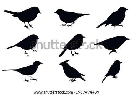 Silhouettes of birds, set, isolated on a white background. Birds: great tit sign, wagtail symbol, robin icon, blue tit, chickadee, nuthatch, willow tit. Vector stock illustration