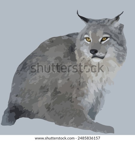 This is a Canada Lynx (Lynx canadensis)