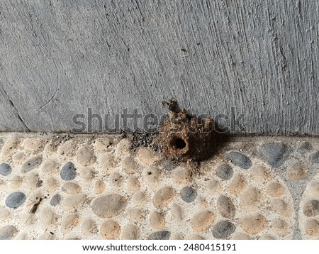 Similar – Image, Stock Photo Anthill Column of ants