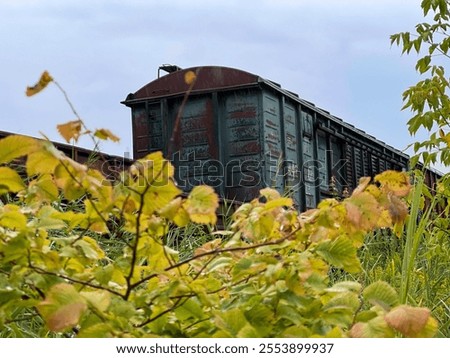 Foto Bild alter verlassener Wagon mit dem Wort Mafia aufgesprüht