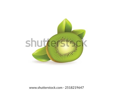 Sliced Kiwi Fruit 3d Realistic Vector Illustration