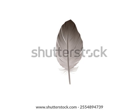 Realistic quill feathers for pen detailed isolated vector. Realistic Quill Feathers Vector - Detailed Feather Illustration for Pen and Writing Tools