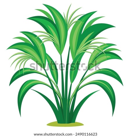 Green Napier grass vector illustration editable project.