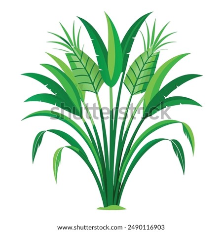 Green Napier grass vector illustration editable project.