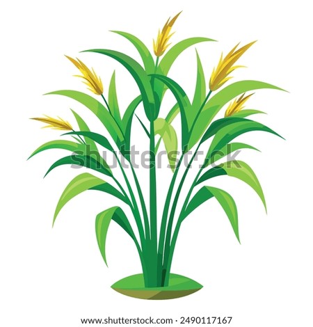 Green Napier grass vector illustration editable project.