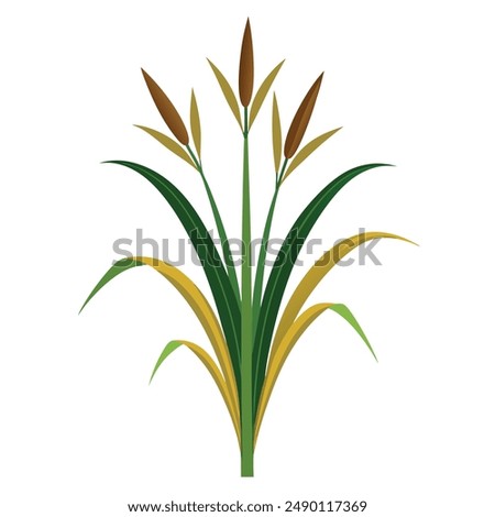 Green Napier grass vector illustration editable project.