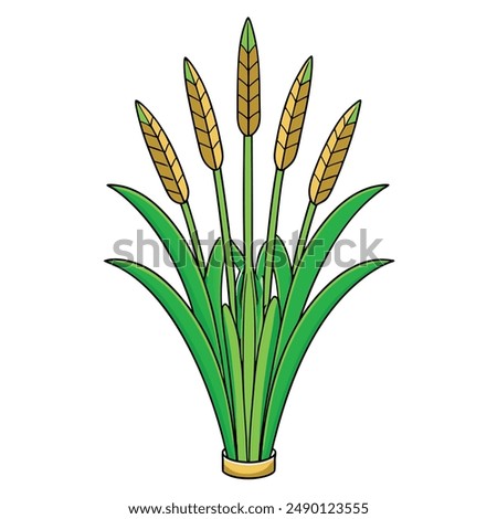 Green Napier grass vector illustration editable project.