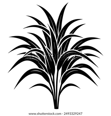  Napier grass vector illustration editable project.