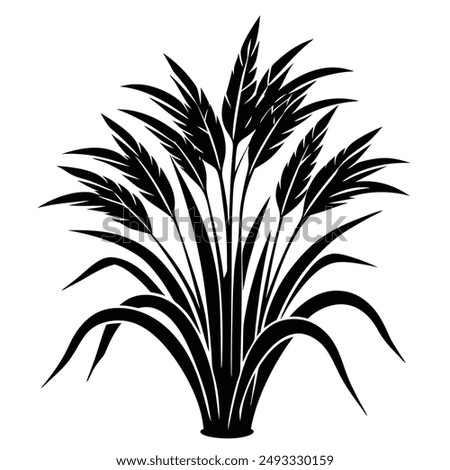  Napier grass vector illustration editable project.